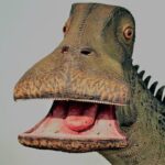 what dinosaur has 500 teeth: Uncovering the Secrets of the Nigersaurus